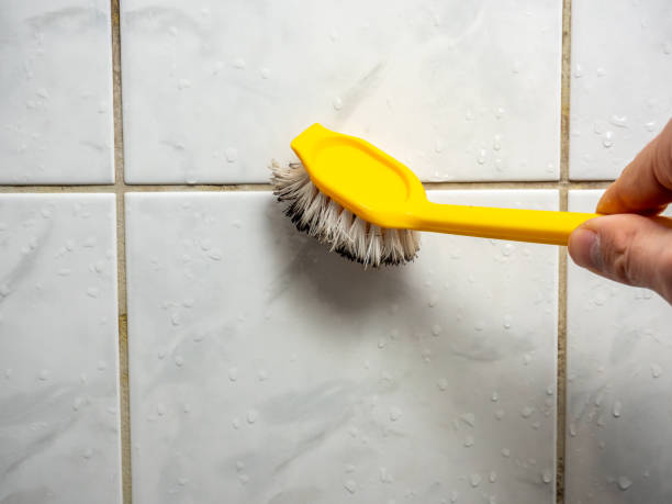Trusted Marine, IL Mold Removal Experts