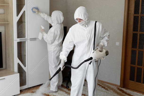 Best Emergency Mold Removal  in Marine, IL
