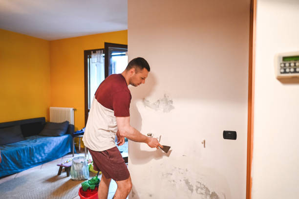 Best Water Damage Restoration  in Marine, IL